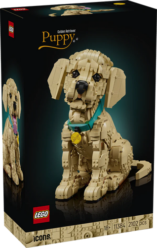 LEGO® ICONS™ 11384 Golden Retriever Puppy